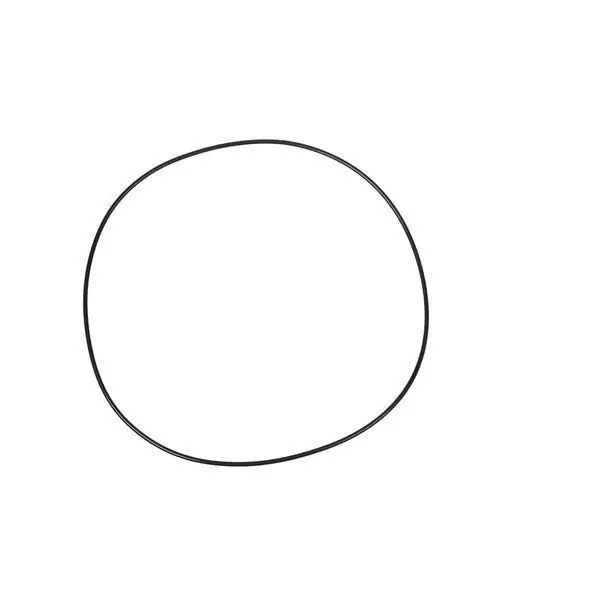 Sprawdź teraz Oring 274 x 2 mm Carraro CI028579