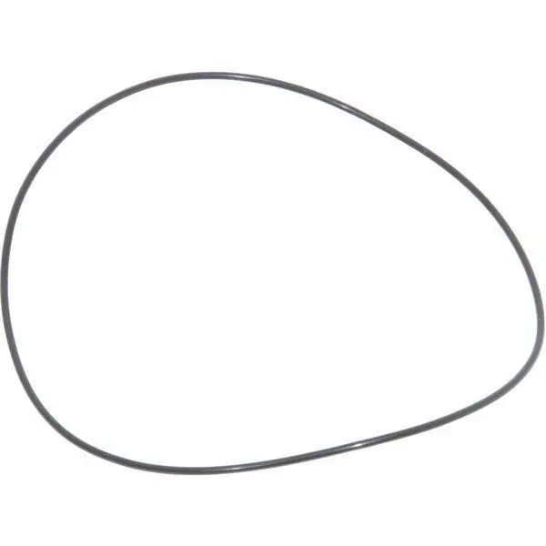 Do wyczerpania zapasów Pierścień uszczelniający oring Carraro CI028103