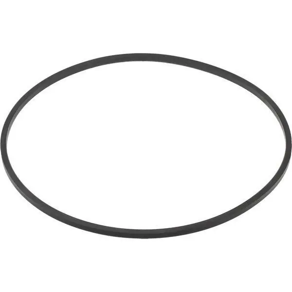 Pierścień uszczelniający Quadring Carraro CI126659 Zamów dziś