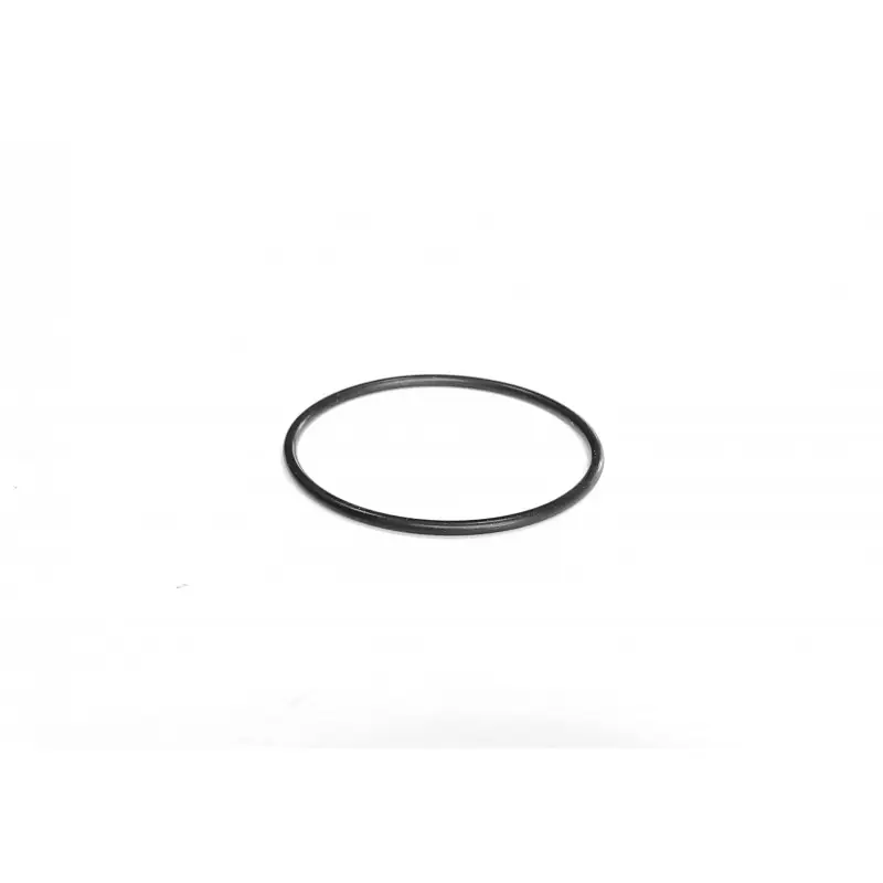 3903194M1 O-ring AGCO Promocja